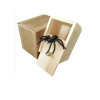 Spider Prank wooden box