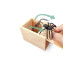 Spider Prank wooden box