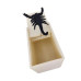 Spider Prank wooden box