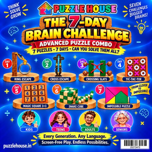 Wooden Puzzle & Brain Teaser Combo Set – 7 Puzzles